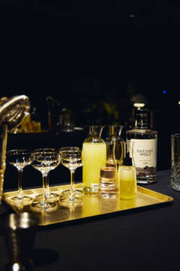 Patient Wolf gin tasting at Bar Triana, AC Hotels x Millie Tang masterclass weekend, AC Hotel by Marriott Melbourne Southbank. Photo Killa Kreative
